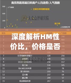 深度解析HM性价比，价格是否贵？市场定位揭秘！