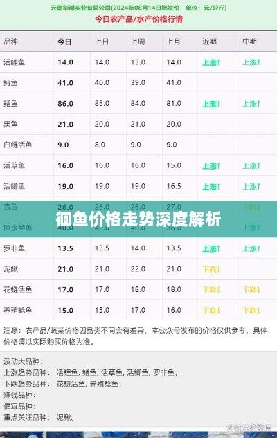 徊鱼价格走势深度解析