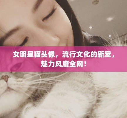 女明星猫头像，流行文化的新宠，魅力风靡全网！