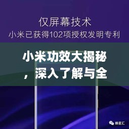 小米功效大揭秘，深入了解与全面探索