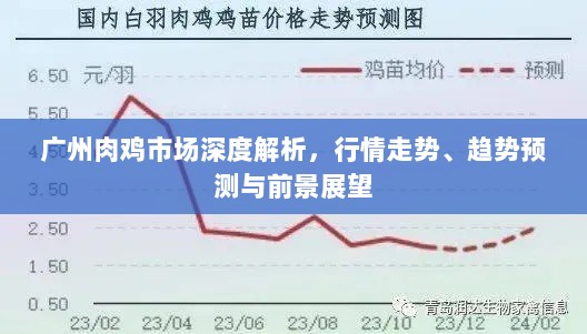 广州肉鸡市场深度解析，行情走势、趋势预测与前景展望