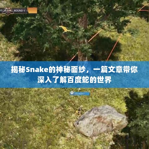 揭秘Snake的神秘面纱，一篇文章带你深入了解百度蛇的世界