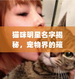 猫咪明星名字揭秘，宠物界的璀璨之星探索