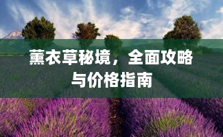 薰衣草秘境，全面攻略与价格指南