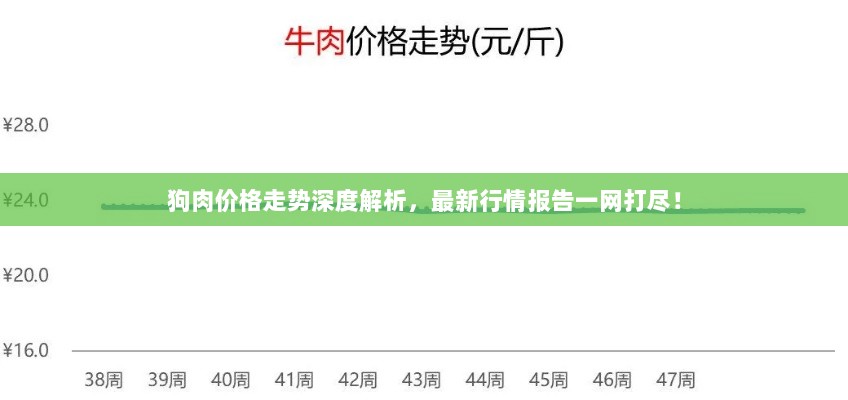 狗肉价格走势深度解析，最新行情报告一网打尽！