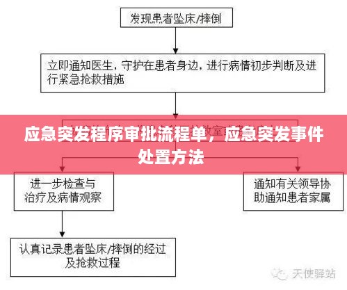 应急突发程序审批流程单，应急突发事件处置方法 