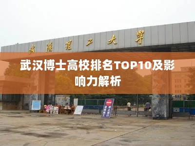 武汉博士高校排名TOP10及影响力解析